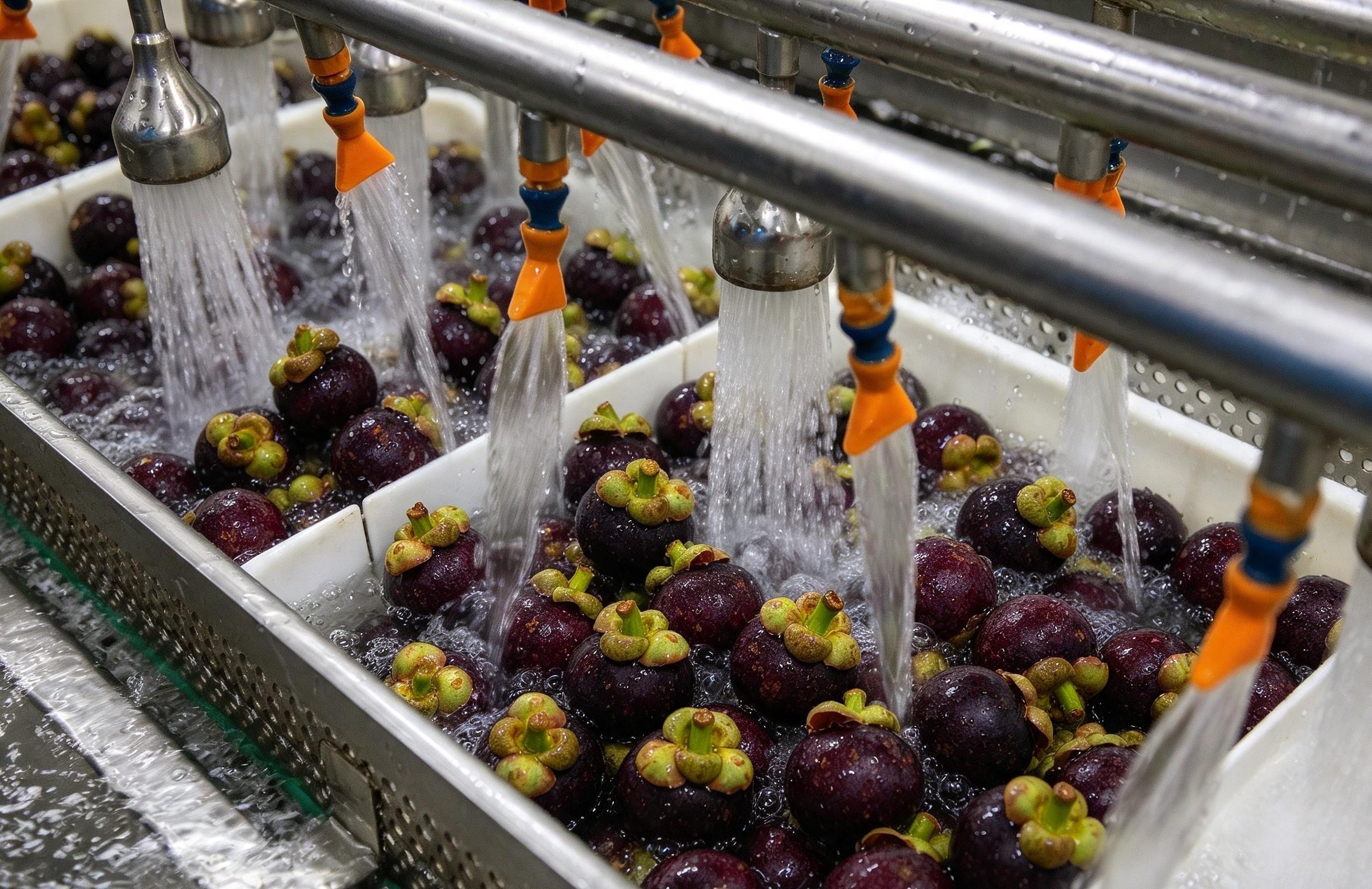 Production Line